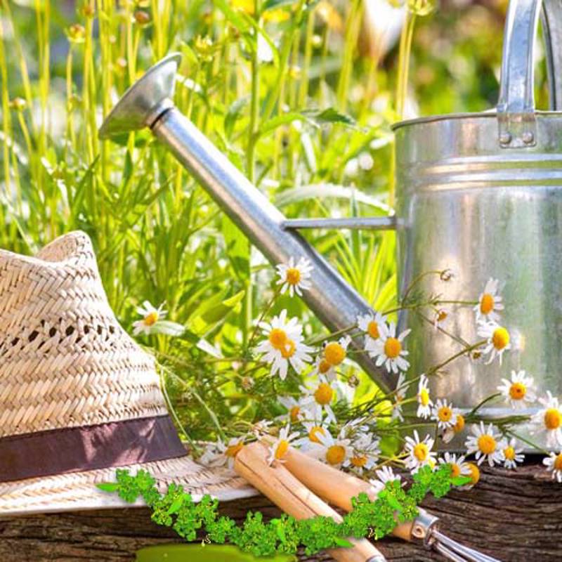 GÜLBAHAR HATUN YURDUHOBİ BAHÇESİ Gönüllüyüz BİZ