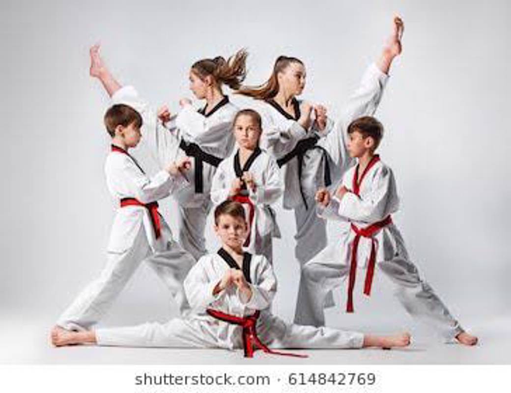 TAEKWONDO TURNUVASI - Gönüllüyüz BİZ